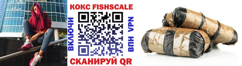 Купить  Нюрба  COCAIN Колумбийский 