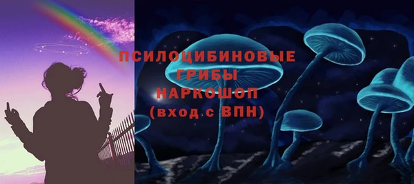 a pvp Белокуриха