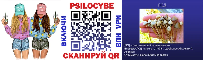 Купить где  Нюрба  Галлюциногенные грибы прущие грибы 