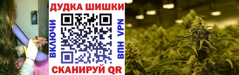 Бошки Шишки семена  Купить где  Нюрба 